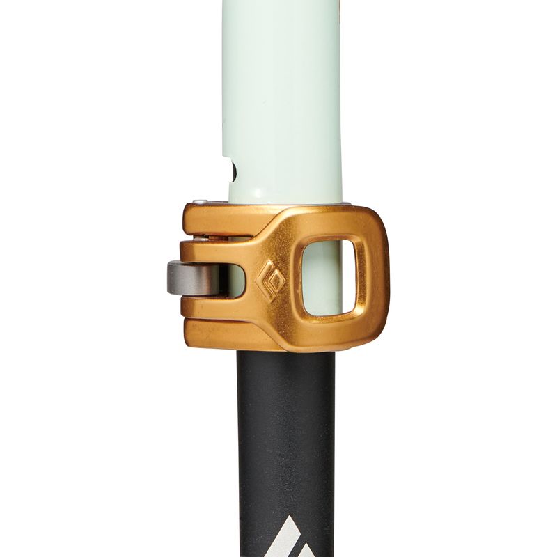 Black Diamond Traverse Pro Ski Pole Foam Green