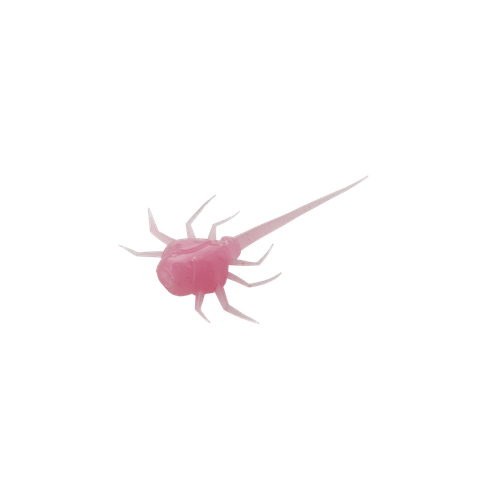 13 Fishing Coconut Crab Soft Bait (6 Pack)