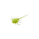 13 Fishing Coconut Crab Soft Bait (6 Pack) Radioactive Pickle