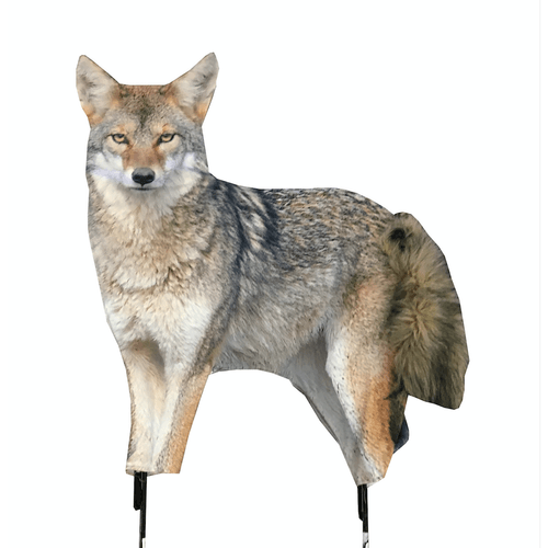 Montana Decoy Song Dog Coyote Decoy