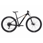 Liv-Tempt-4-Bike---2025-Black