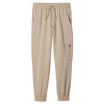 Columbia-Silver-Ridge-Utility-Cargo-Pant-Ancient-Fossil