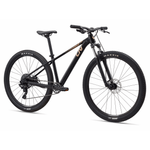 Liv-Tempt-4-Bike---2025-Black