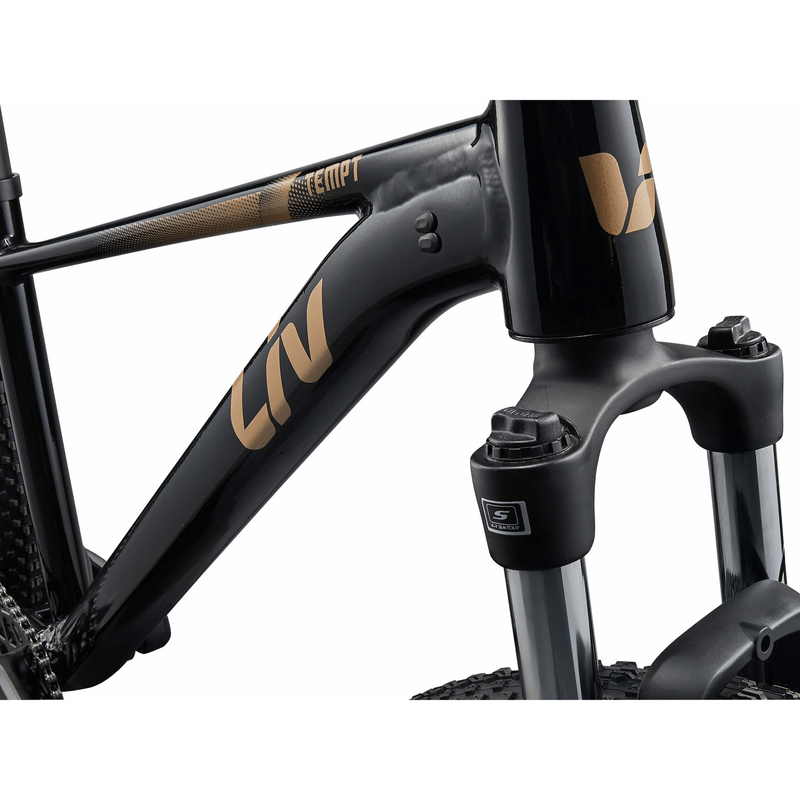 Liv-Tempt-4-Bike---2025-Black