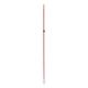 Cajun Bowfishing Wasp Arrow With Piranha Long Barb XT Point Red/Black