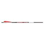 Bloodsport-Archery-Witness-22--Crossbow-Bolt-