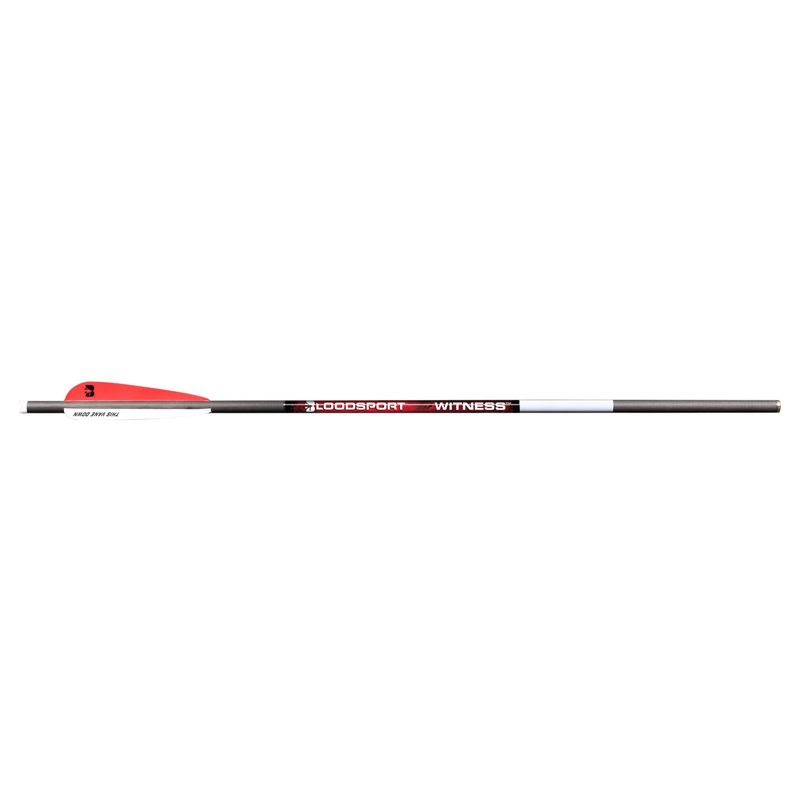 Bloodsport-Archery-Witness-22--Crossbow-Bolt-