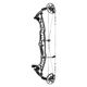 Hoyt Highline Compound Bow Tombstone / Black