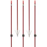 Cajun-Bowfishing-Wasp-Arrow-With-Piranha-Long-Barb-XT-Point-Red-Black