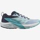 Salomon Sense Ride 5 Shoe - Women's Cashmere Blue / Carbon / Peacock Blue
