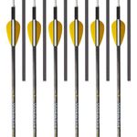 Trophy-Ridge-Wrath-Arrow-Black