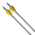 Trophy-Ridge-Wrath-Arrow-Black