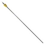 Trophy-Ridge-Wrath-Arrow-Black