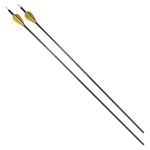 Trophy-Ridge-Wrath-Arrow-Black