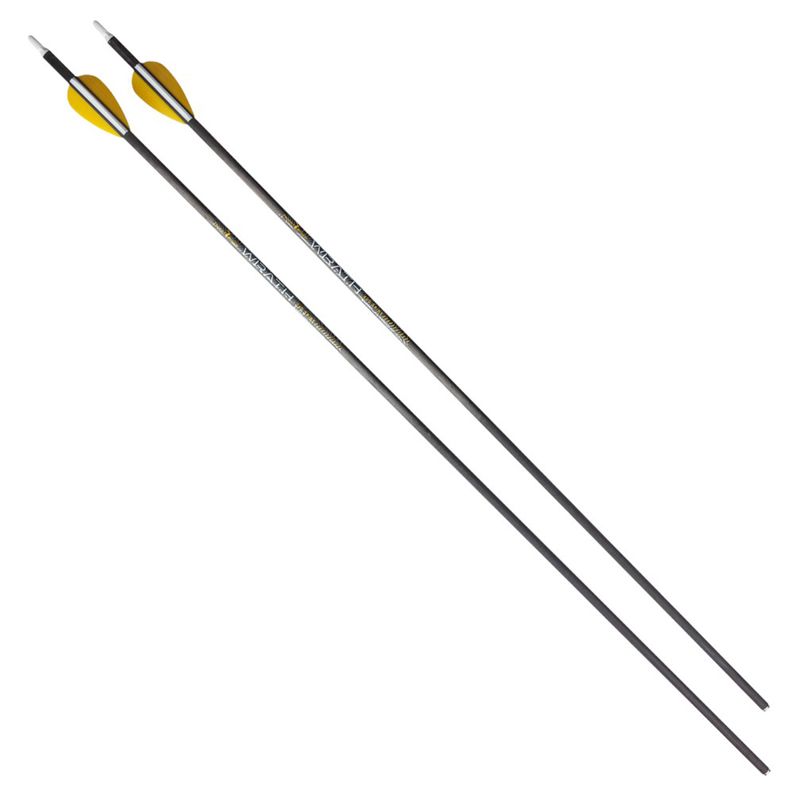 Trophy-Ridge-Wrath-Arrow-Black