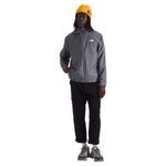 The North Face TNF Cyclone Wind Jacket - Men's Smoked Pearl