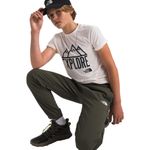 The-North-Face-On-The-Trail-Pant---Boys--New-Taupe-Green
