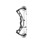 Hoyt-RX-9-Compound-Bow-Tombstone---Tombstone