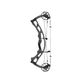 Hoyt RX-9 Compound Bow Tombstone / Tombstone