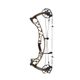 Hoyt Alpha AX-2 32 Compound Bow Bourbon / Bourbon