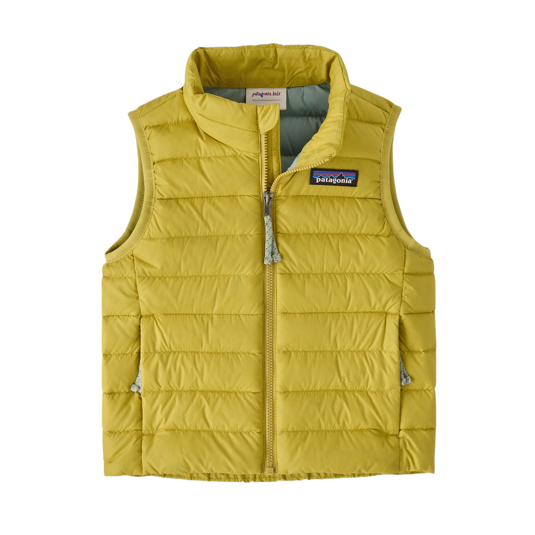 /patagonia-down-sweater-vest-toddler-10312883/p?skuId=1912244