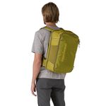 Patagonia-Black-Hole-Mini-Mlc-Bag---30L-Graze-Green