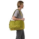 Patagonia-Black-Hole-Mini-Mlc-Bag---30L-Graze-Green