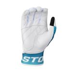 Easton Walk-Off Ethos Batting Glove - Adult Vaporwave