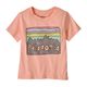 Patagonia Fitz Roy Skies T-Shirt - Toddler Sunlit Pink