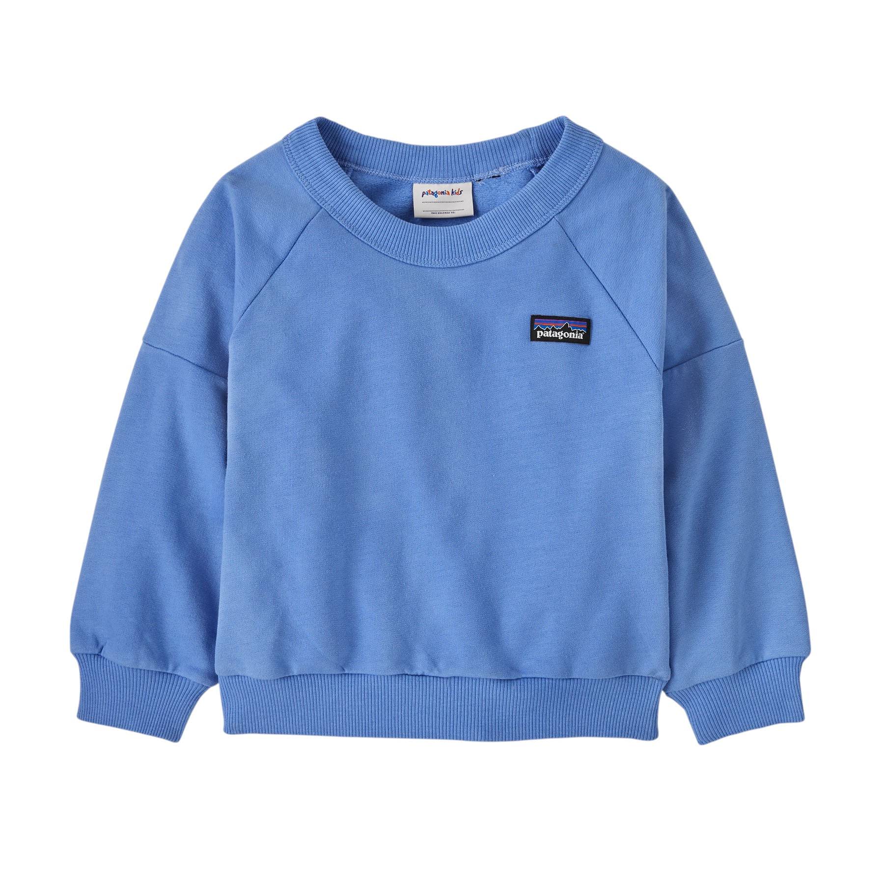 Patagonia Crew Sweatshirt - Infant Abundant Blue