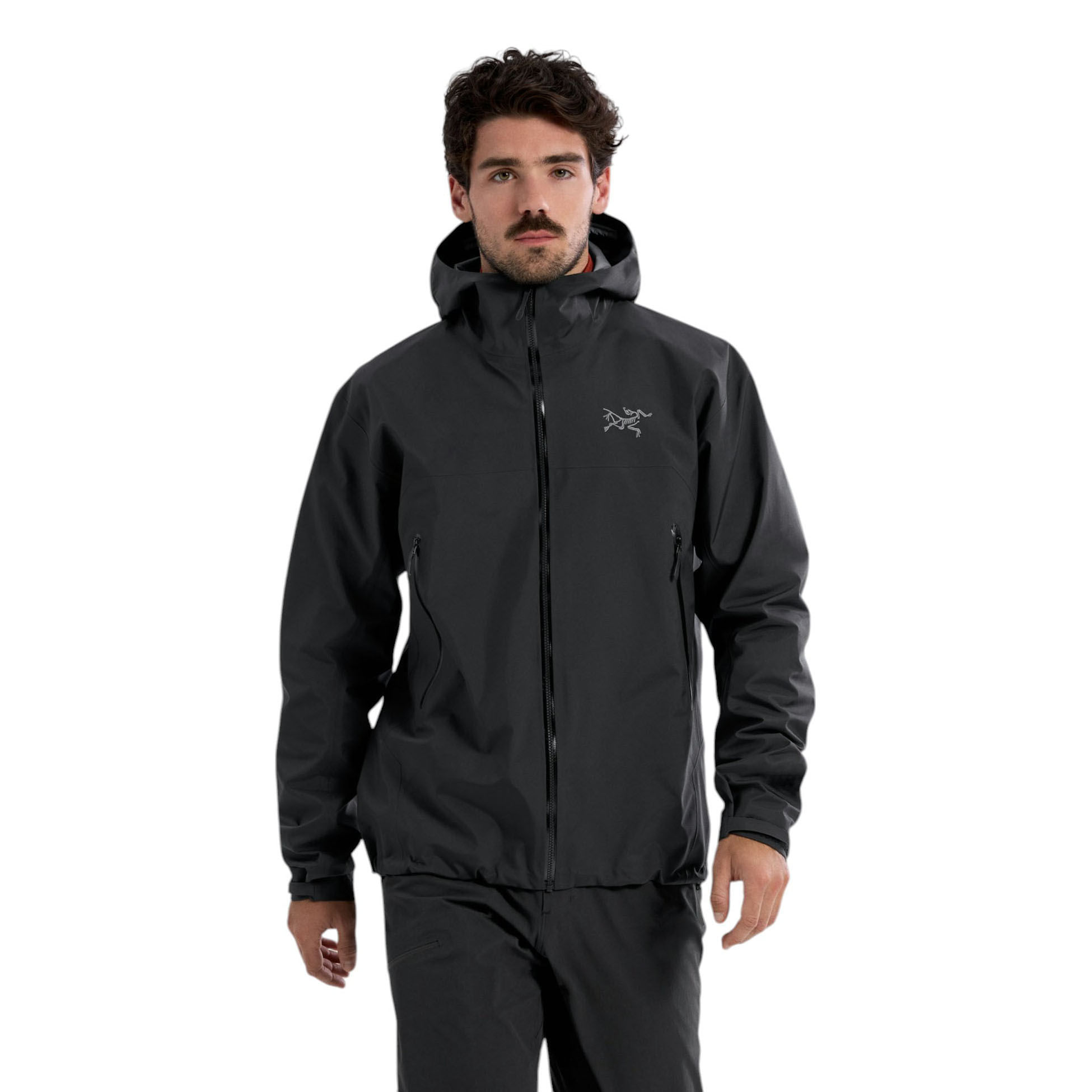 /arcteryx-beta-jacket-mens-10575692/p?skuId=3044366