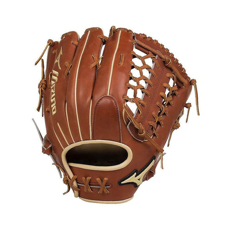 mizuno pro select catchers mitt