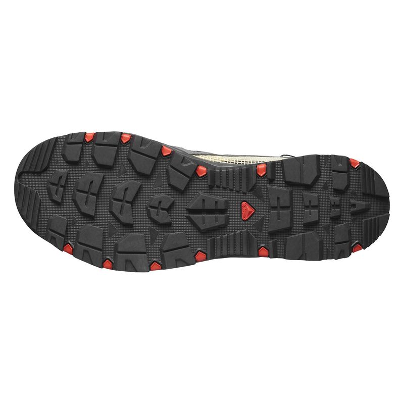 Salomon-Techamphibian-5-Shoe---Men-s-Pewter---Moth---Fiery-Red