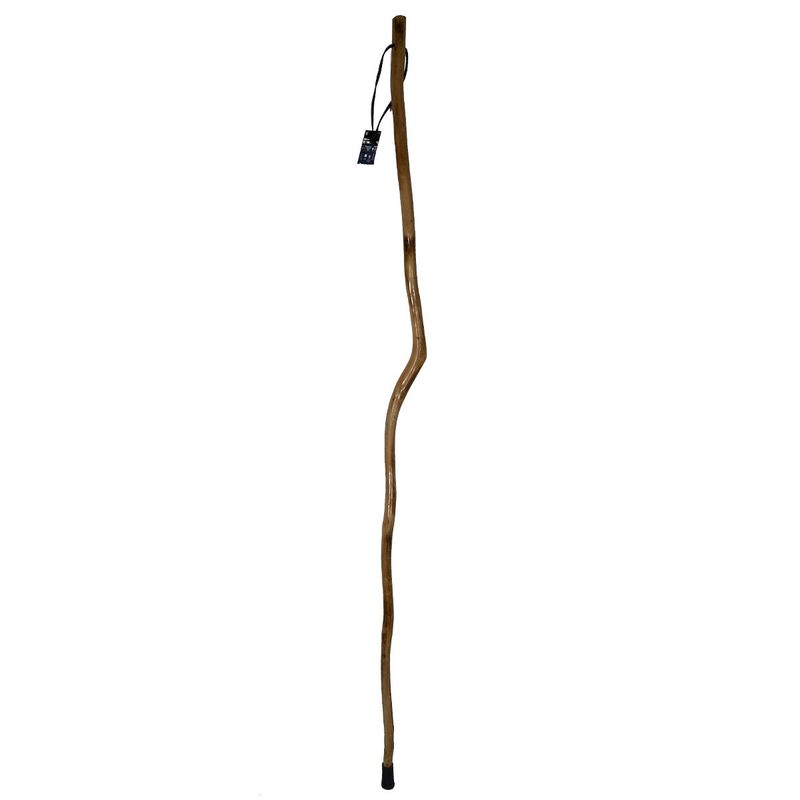 hiking stick