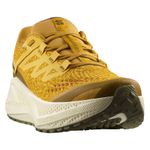 Salomon-Aero-Glide-3-Grvl-Shoe---Men-s-Spicy-Mustard---Vanilla-Ice---Deep-Lichen-Green