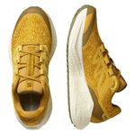 Salomon-Aero-Glide-3-Grvl-Shoe---Men-s-Spicy-Mustard---Vanilla-Ice---Deep-Lichen-Green