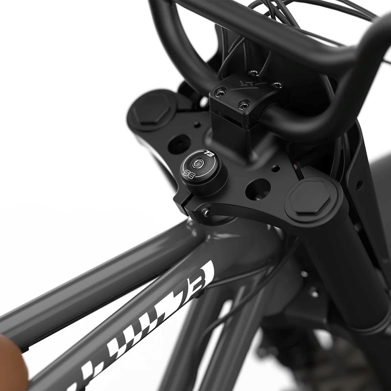 SUPER73-Z-Adventure-Series-SE-E-Bike-Palladium