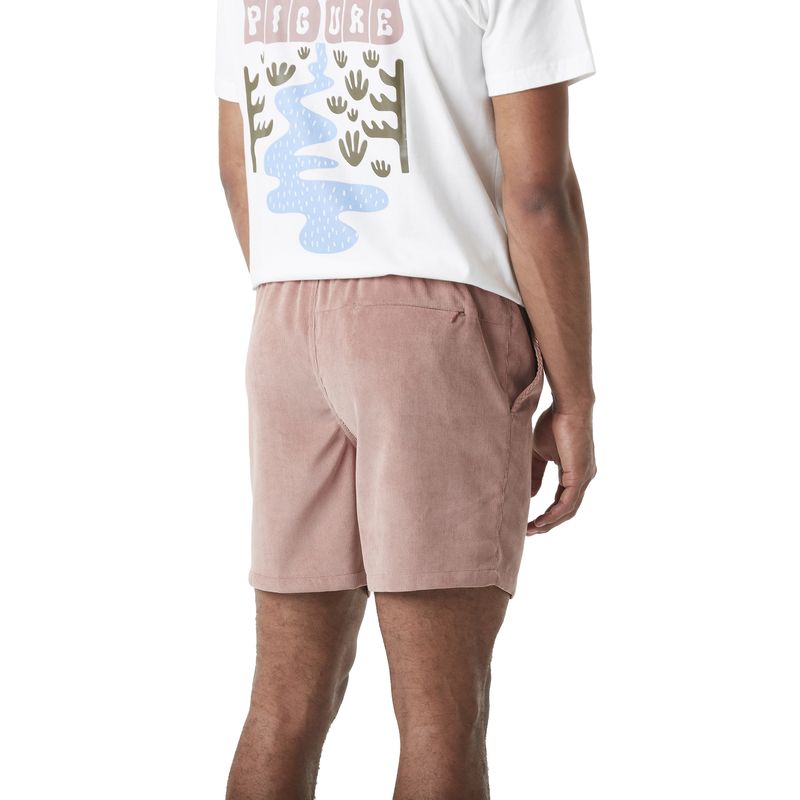 Picture-Nollur-Short-Burlwood
