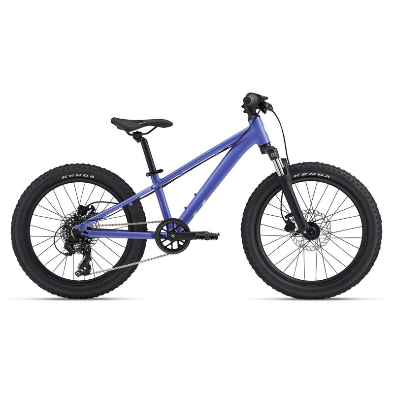 Liv-STP-20-Front-Suspension-Bike-2025---Kids--Dusted-Peri