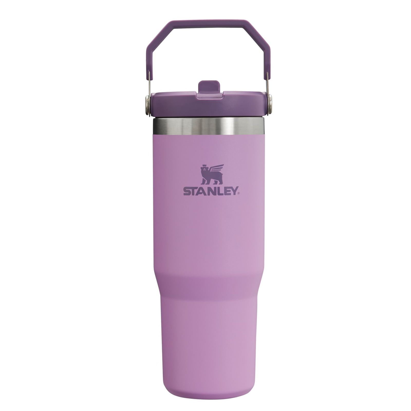 /stanley-the-iceflow-flip-straw-tumbler-30oz-10400671/p?skuId=3034805