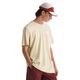 The North Face Evolution Box NSE Short-Sleeve Tee - Men's Gravel