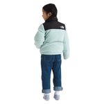 The-North-Face-1996-Retro-Nuptse-Jacket---Kids--Muted-Pine