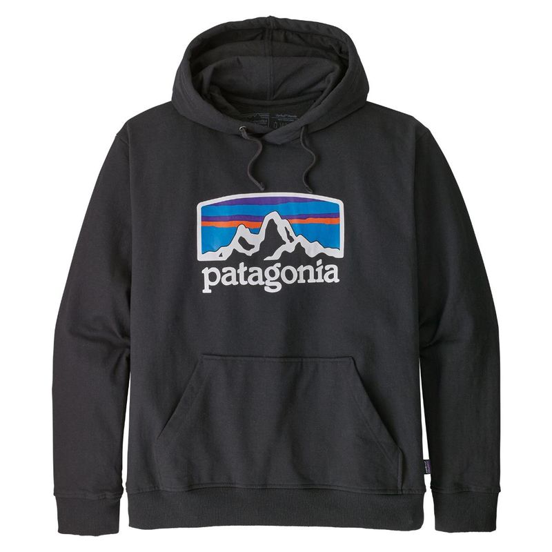 hoodie patagonia