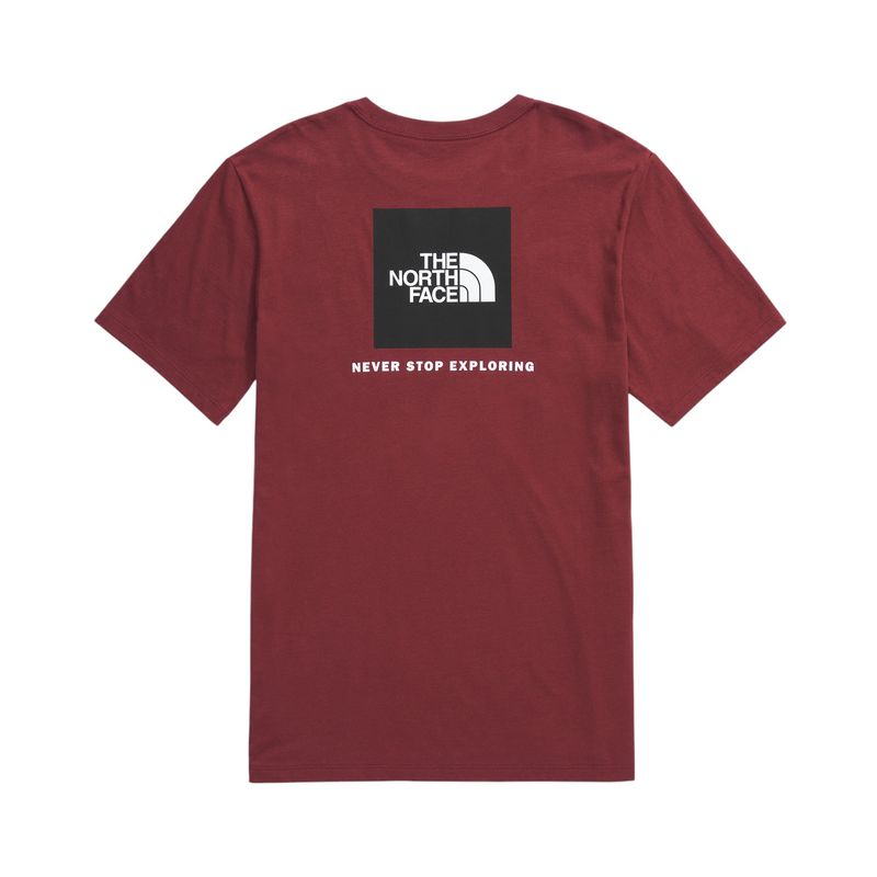 The-North-Face-Evolution-Box-NSE-Short-Sleeve-Tee---Men-s-Sumac