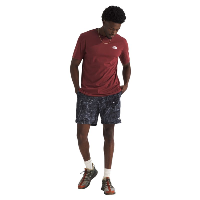 The-North-Face-Evolution-Box-NSE-Short-Sleeve-Tee---Men-s-Sumac