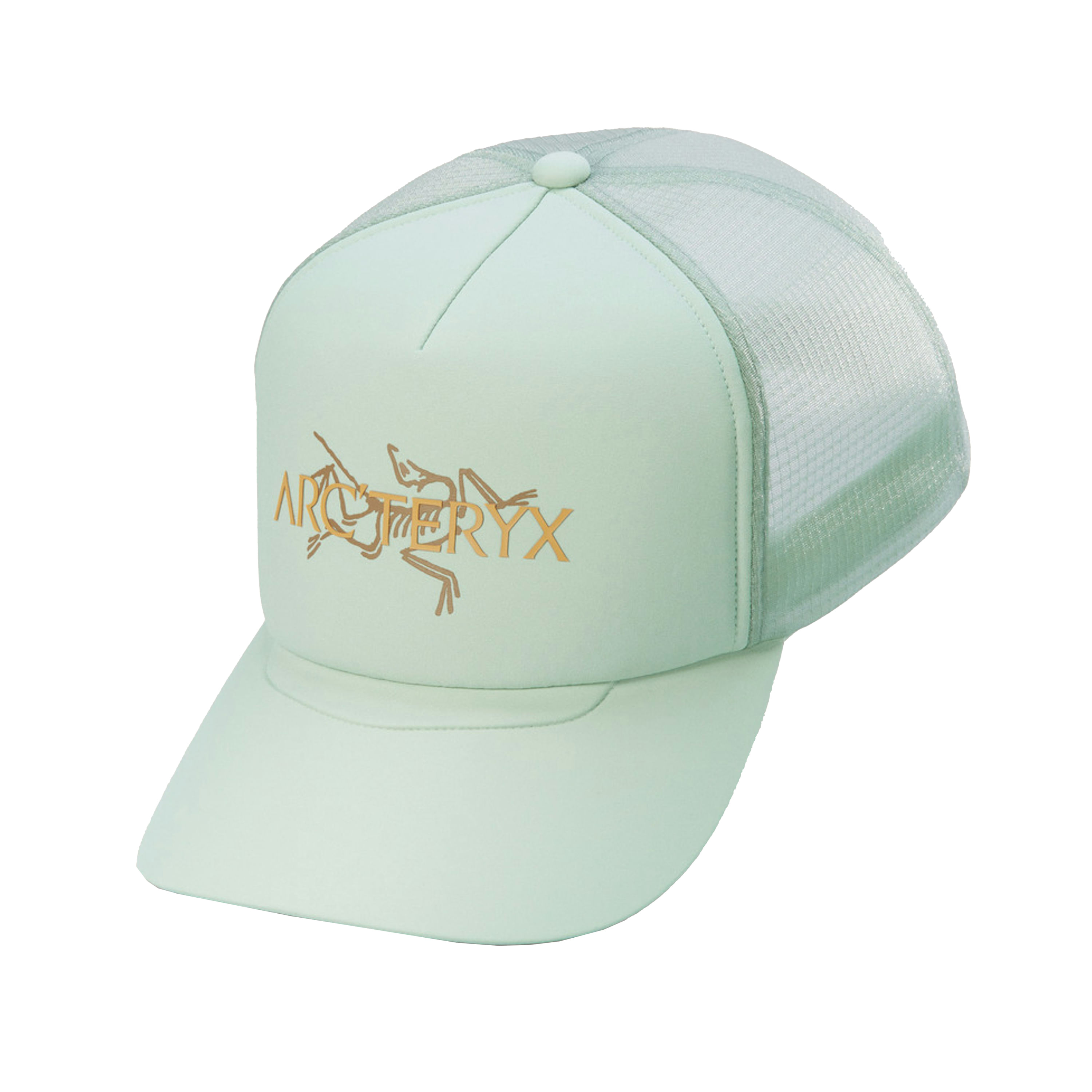 /arcteryx-bird-word-trucker-curved-hat-10505569/p?skuId=3004317