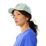 Arc-teryx-Bird-Word-Trucker-Curved-Hat-Trail-Magic