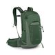 Osprey Talon 22 Daypack - Men's Green Canopy Pine Leaf