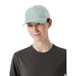 Arc-teryx-Bird-Word-Cap-Stone-Green---Phos