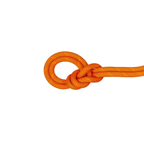 Mammut Crag Dry 9.8mm Rope